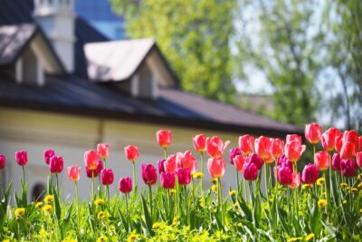 Spring